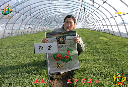 大慶(qing) 肇源縣-迴訪視頻