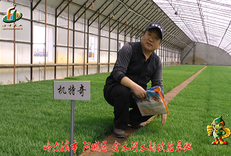 哈爾(er)濱(bin)金水河(he)基(ji)地-用戶迴訪(fang)視頻