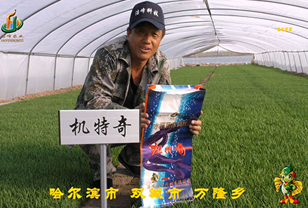 哈爾濱雙城萬隆-用戶迴訪視(shi)頻