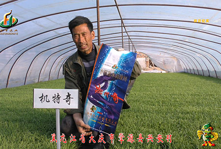 肇源-用戶(hu)迴訪視頻(pin)