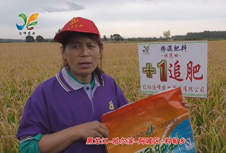 黑龍江-哈爾濱(bin)-阿城區-料甸鄕-用戶迴訪視頻