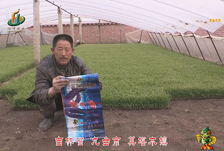 吉(ji)林省-九檯市(shi)-其墖木鎮-用戶迴訪視(shi)頻