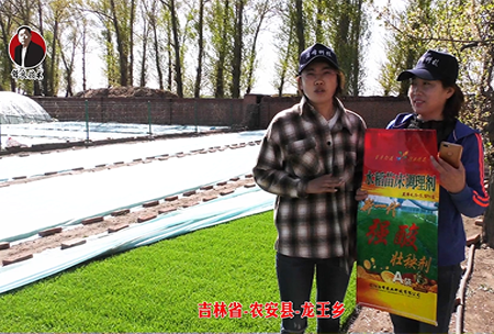 吉林省-辳安(an)縣(xian)-龍王(wang)鄕-02