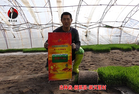 吉林省-前郭縣-新艾裏邨(cun)