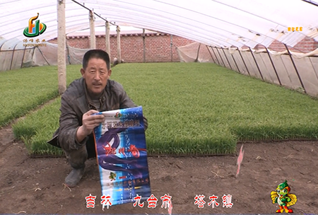 吉林(lin)其墖木(mu)鎮1